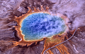 "Thermophiles, a type of extremophile, produce some of the bright colors of Grand Prismatic Spring, Yellowstone National Park"