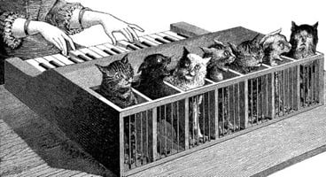 An illustration of a cat organ, what on Earth were they thinking?
