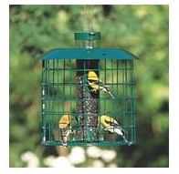 Duncraft 18814 Squirrel Proof Accent Selective Feeder
