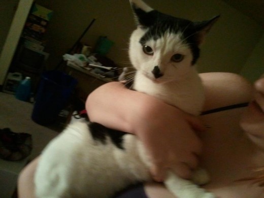 Fred (Named because he was a runaway and we didn't want to get attached... didn't work)