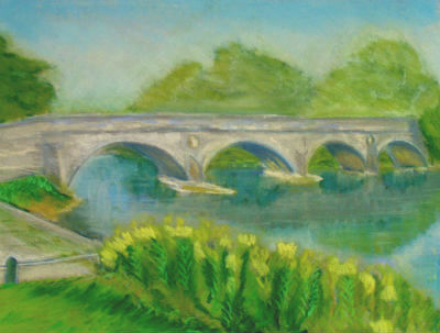 This picture was produced using Reeves Fine Soft pastels onto Daler Ingres pastel paper 90g, original sheet size 18" x 12". Colour of paper grey.