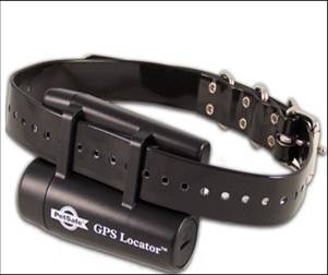 Mobile Connected Dog Collar
