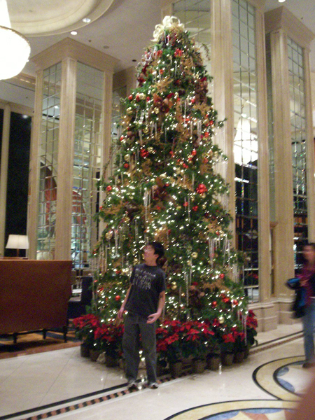 Christmas with my brother in Union Square in San Francisco