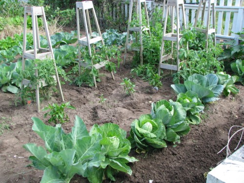 Our Sustainable Garden at the Cottage Craft Works Homestead.