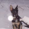 banner10 profile image