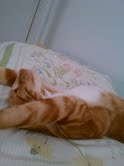 Larry does not have insomnia!