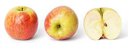 This Australian bred apple is also known as Cripps Pink - but Pink lady sounds nicer :)
