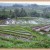 Jatiluwih Rice Terrace. Jatiluwih Rice Terrace.