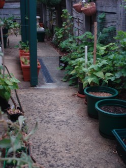 A Small Unit Garden: some ideas