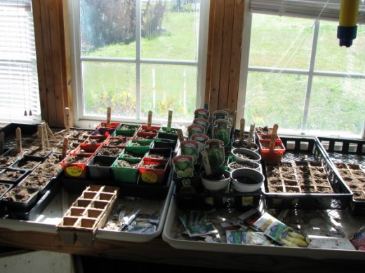 Our greenhouse allows us to escape the hectic life and enjoy planting and planning our spring garden.