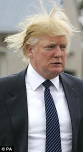 RUMOR HAS IT THAT DONALD TRUMP, OR "THE DONALD," HIRED A TEAM OF BODYGUARDS, OR RUG GUARDS TO FOLLOW HIM AND MAKE SURE HIS FAMOUS COMB-OVER DIDN'T BLOW OFF.