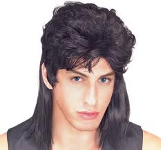 GIRLS, WOULD YOU BE SEEN IN PUBLIC WITH A GUY WITH A MULLET? BE HONEST. MAYBE AT ONE TIME THEY WERE COOL, MULLETS, THAT IS, BUT NOT NOW.