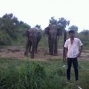 Eranga Viraj profile image