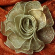 Linen profile image
