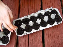 Seeds Planted In Egg Cartons - A great way to plant seedlings