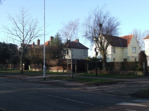 Detached houses on The Avenues, opposite Heigham Park