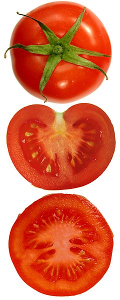 Tomato plain and sliced (vertical, horizontal)
