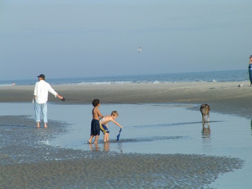 beach coligny hilton head park pools compass parks rose island tide shimmer wading sparkle shapes sand cutting dogs sets playing