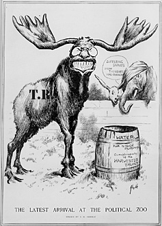 "The latest arrival at the political zoo" c. 1912
