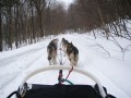 Dogsledding In New England: A day of adventure at Lake Elmore, Vermont
