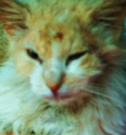 http://s4.hubimg.com/u/6021831_f248.jpg