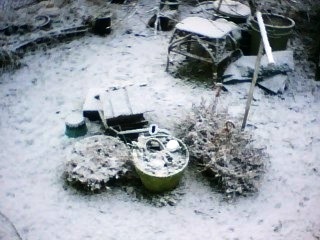 If you wake up one morning and it looks like this you are too late...