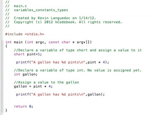 c printing variables to Variables, Types Objective & to C Use How Constant