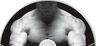 Chest, Shoulders, & Triceps