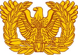 How to Become a Warrant Officer in the Army