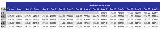 Warrant Officer Pay Scale