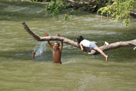Kids playing "who can hang on longest to the moving branch."  One boy got dumped in.  The girl is still hanging on.