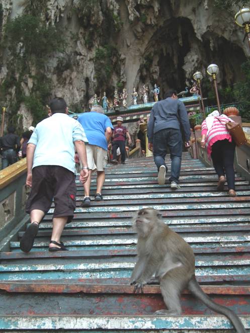 Monkeys on steps of Batu Caves
