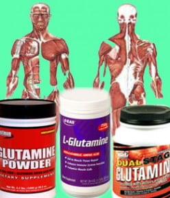 Creatine vs Glutamine - Benefits of Glutamine