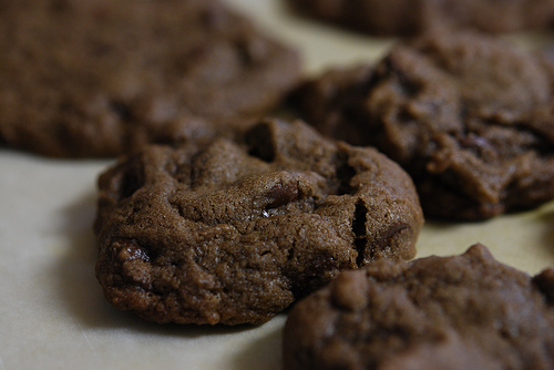 Chocolate Chocolate Chip Cookies