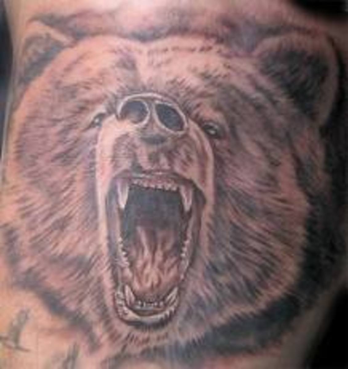 Bear Tattoos And Bear Tattoo Designs Bear Tattoo Meanings And