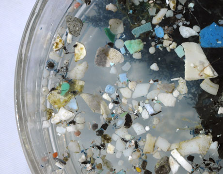 garbage patch plastic particles
