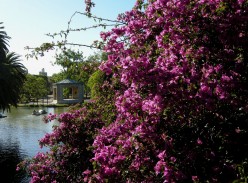 Confessions of an Ex-Expat: The Dream vs. Reality