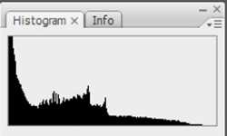 This is a histogram that shows an under exposed image.  This photo will look overly dark.