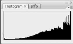 This is a histogram that shows an over exposed image.  This photo will look overly bright.