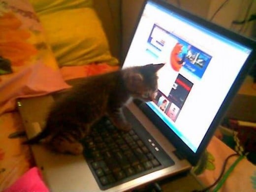 Rori at four weeks old, using a laptop for the first time