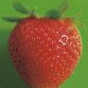 Ruthviks profile image