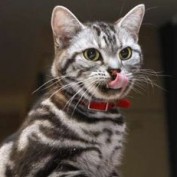 kit564 profile image