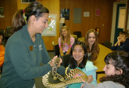 Reptiles are a fascinating subject for children - an interest that should not be squandered.