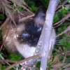 floppycats profile image
