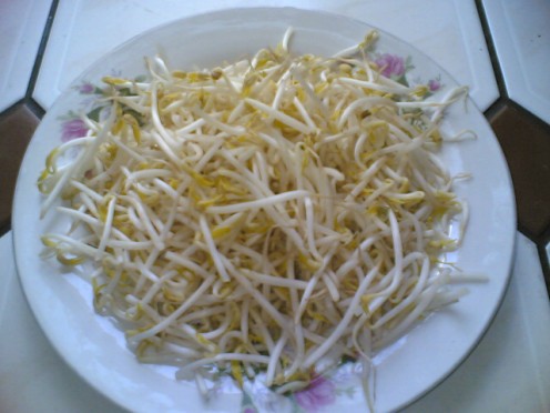 Bean Sprouts