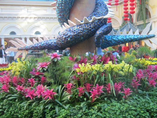 Dragons are different colors symbolizing earth elements, such as fire and water, and brown for earth.