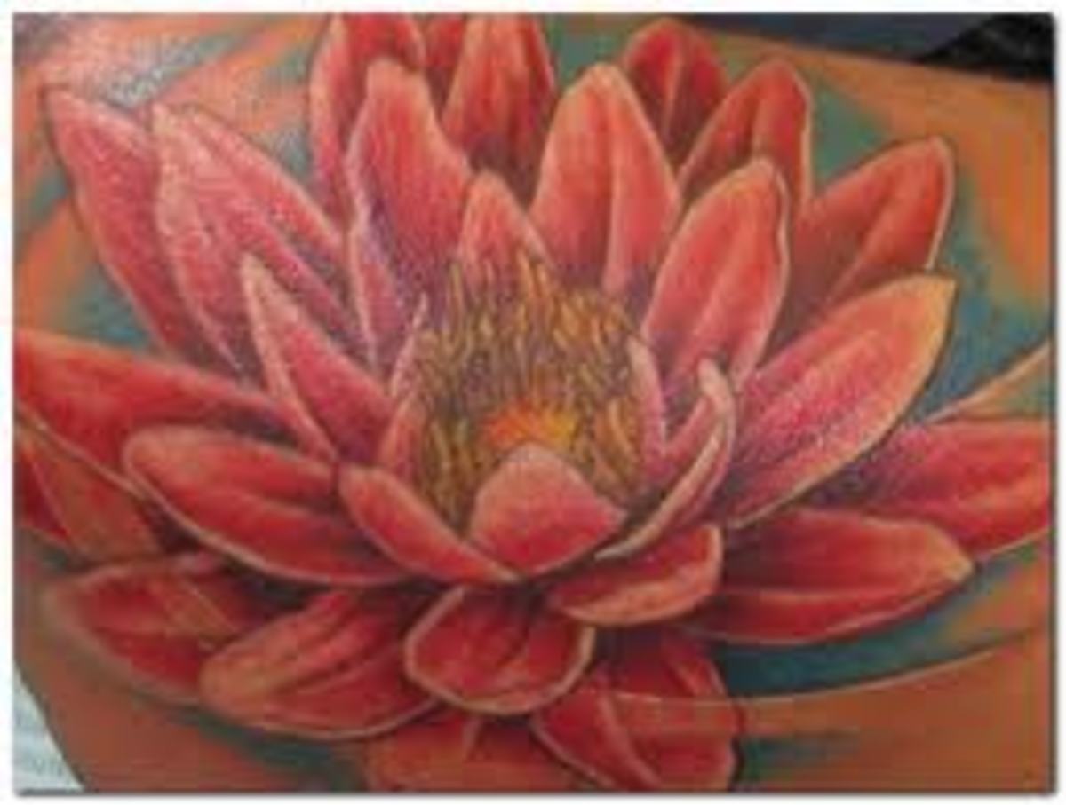 Lotus Flower Color Meaning Chart