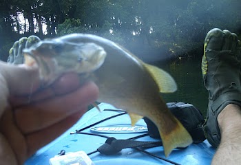 You can see my gear strapped to the front of the kayak, my awesome shoes again, and a baby small mouth bass I caught while floating in the kayak.