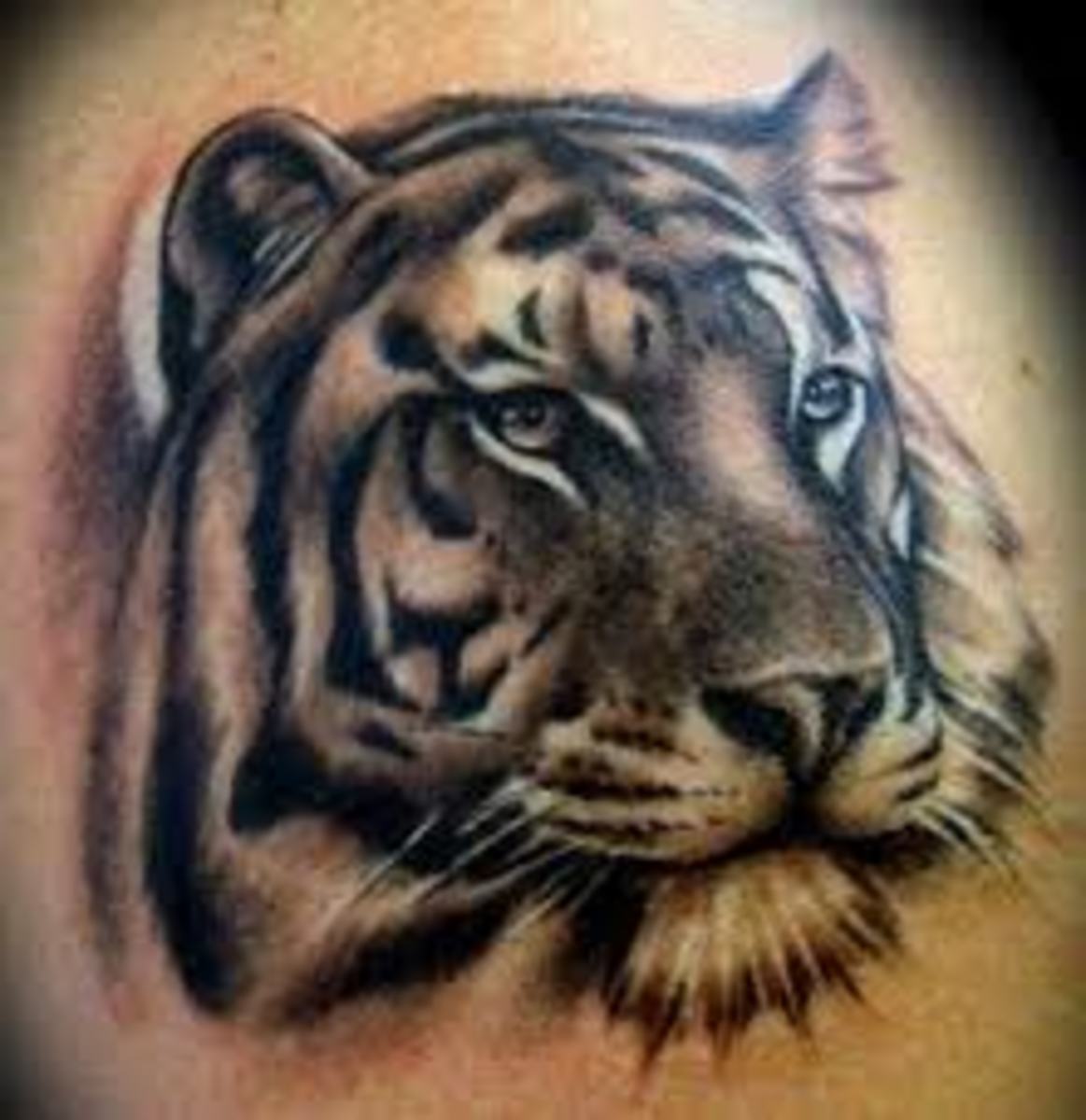 Tiger Tattoo Designs, Ideas, and Meanings | TatRing