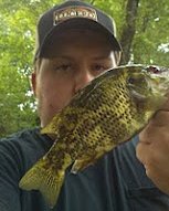 This is a rock bass also commonly referred to as a Goggle Eye. They normally are pretty small. This one is actually a pretty monstrous one, but despite their small size many people love to eat them. 